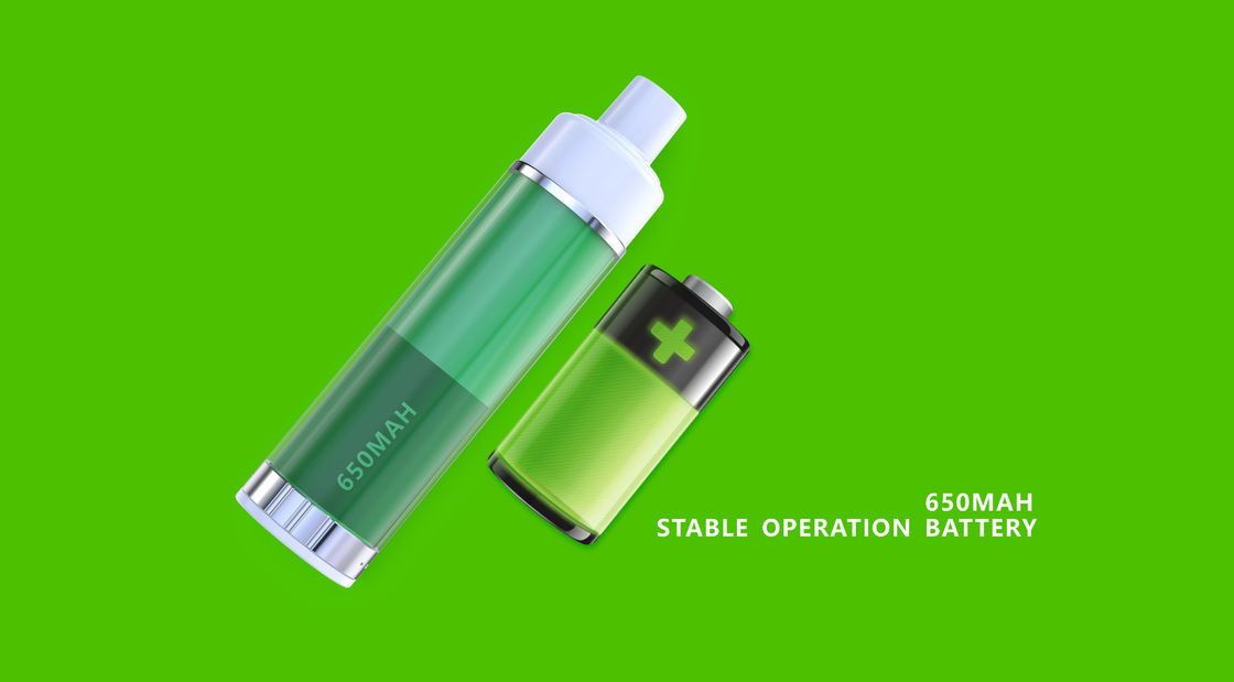 4000 Puffs Disposable Pod Device 1.2ohm With Type C Charging Port