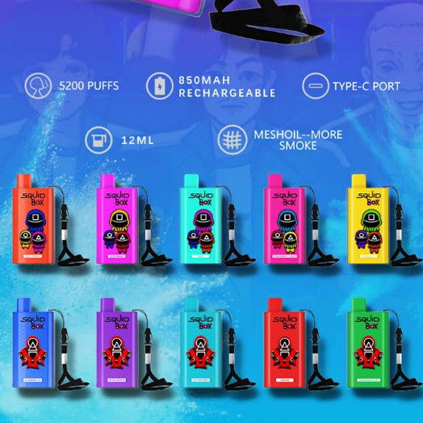 RandM Squid Box Disposable Vape Pens Portable 5200 Puffs 12ml
