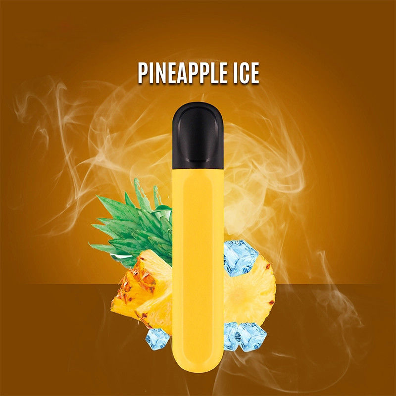Disposable Mini 600 Puff Vape 3.6v Voltage With 370Mah Battery